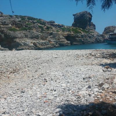 53050728 382554549224644 7696418061120700416 N