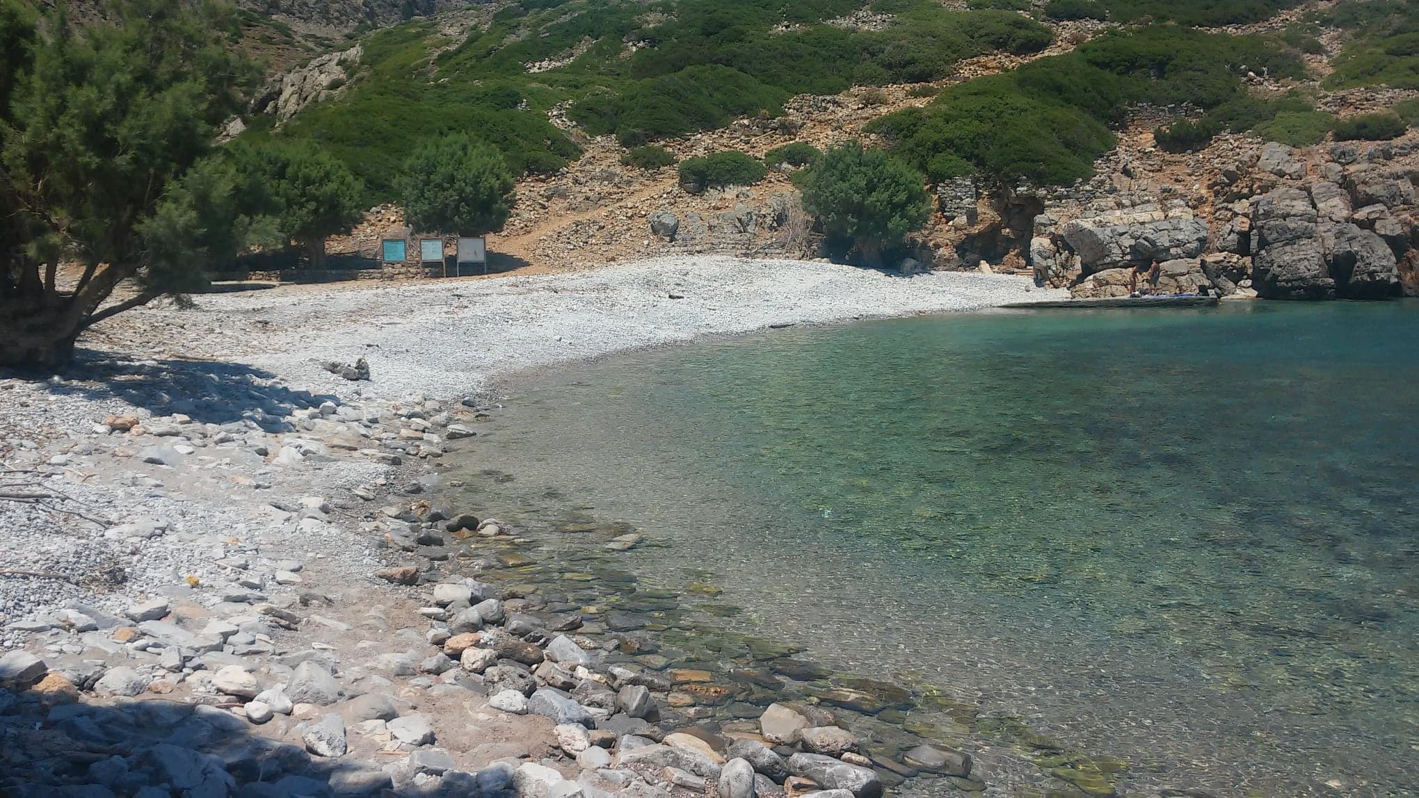 53347605 1157209491119540 4513321809831002112 n